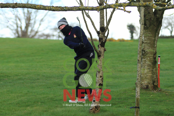 Ford Muskerry Junior Scratch Trophy 2016