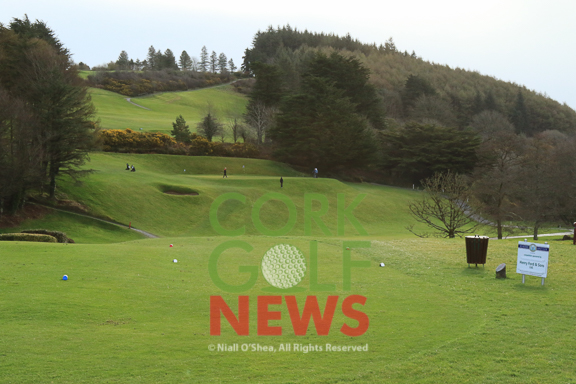 Ford Muskerry Junior Scratch Trophy 2016