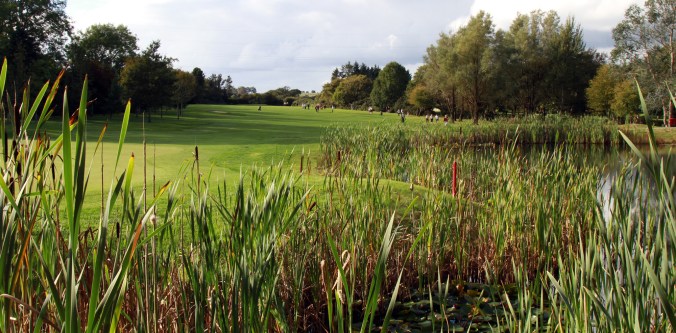 Golf_Monkstown Golf Club 18th Fairway
